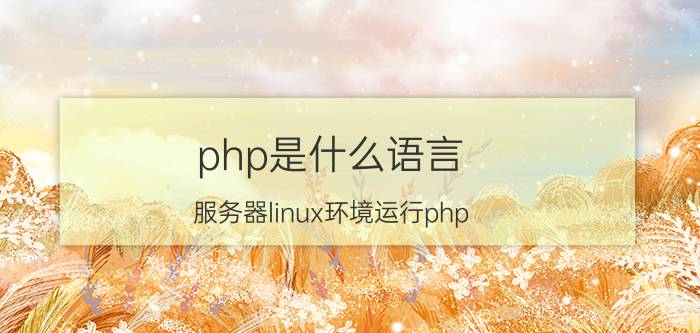 php是什么语言 服务器linux环境运行php，如何配置？